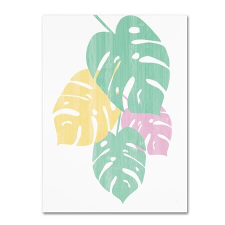 Trademark Fine Art Sarah Adams 'Monstera IV Bright on White' Canvas Art, 24x32 WAP01954-C2432GG